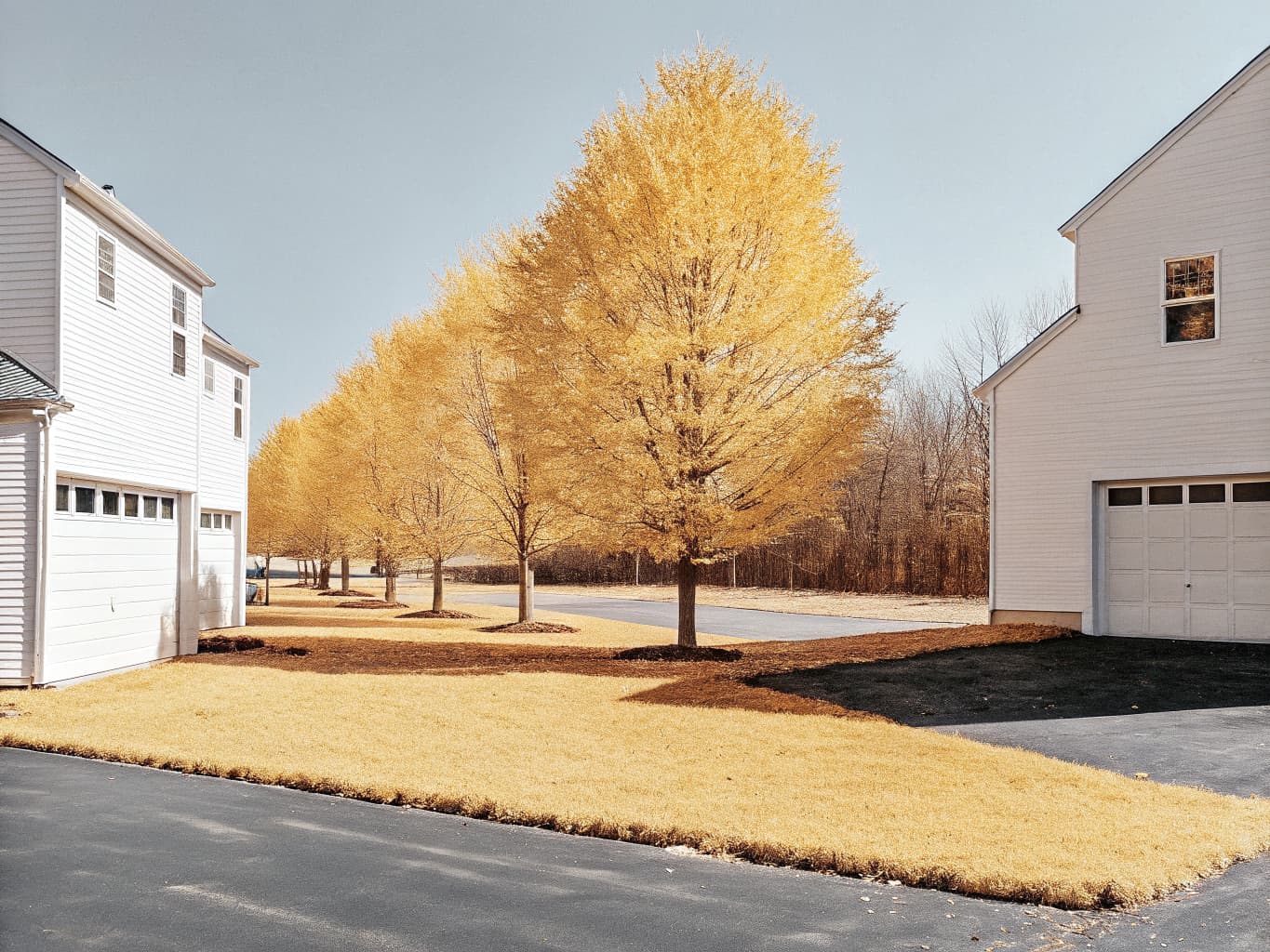 Well maintained residential property in York, PA with healthy mature trees and neat mulched beds